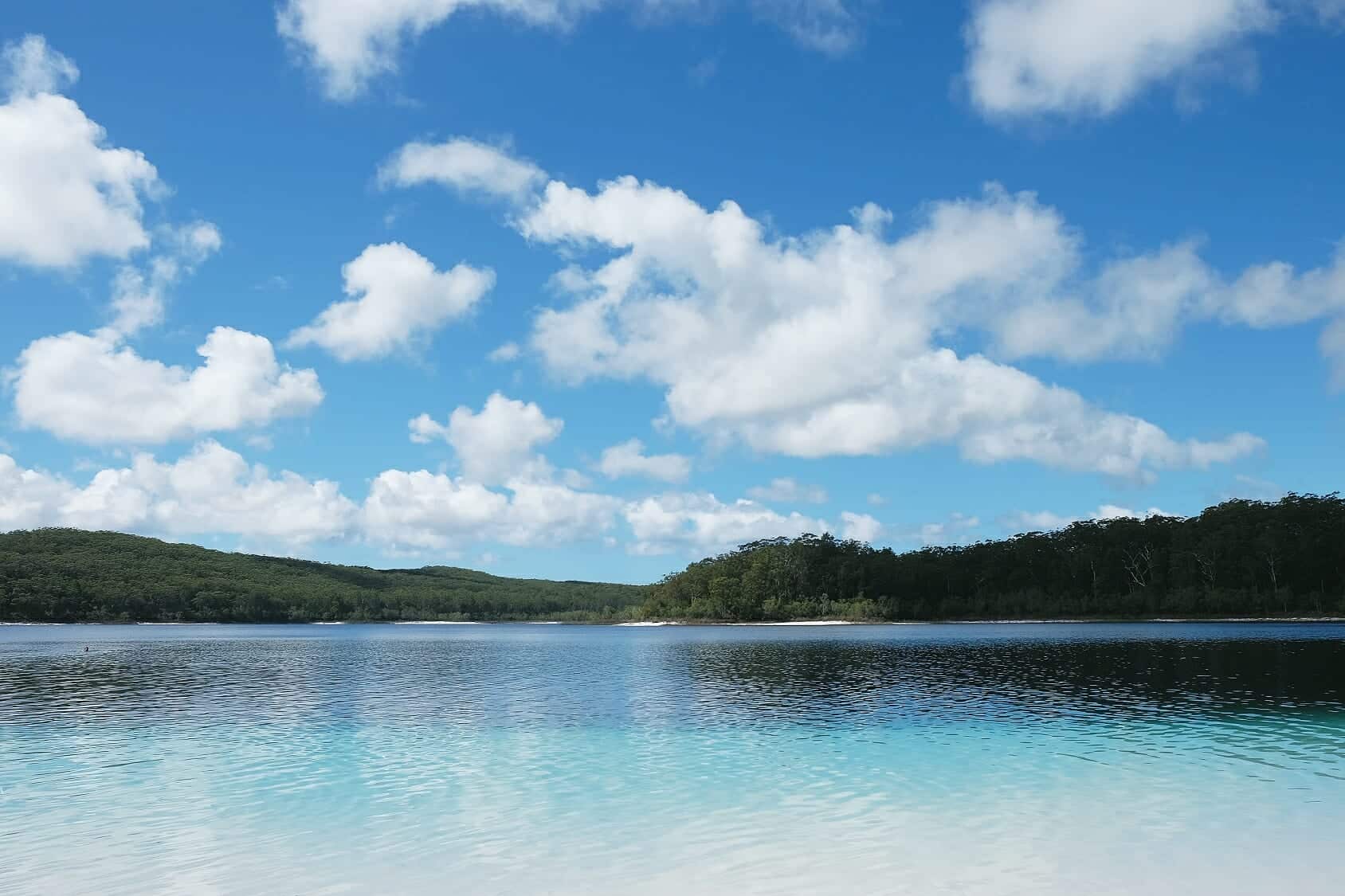 Fraser Island Tours - Drop Bears Australia