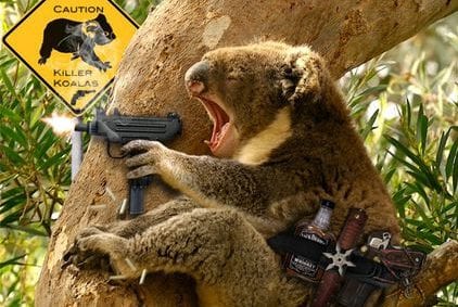 Drop Bear