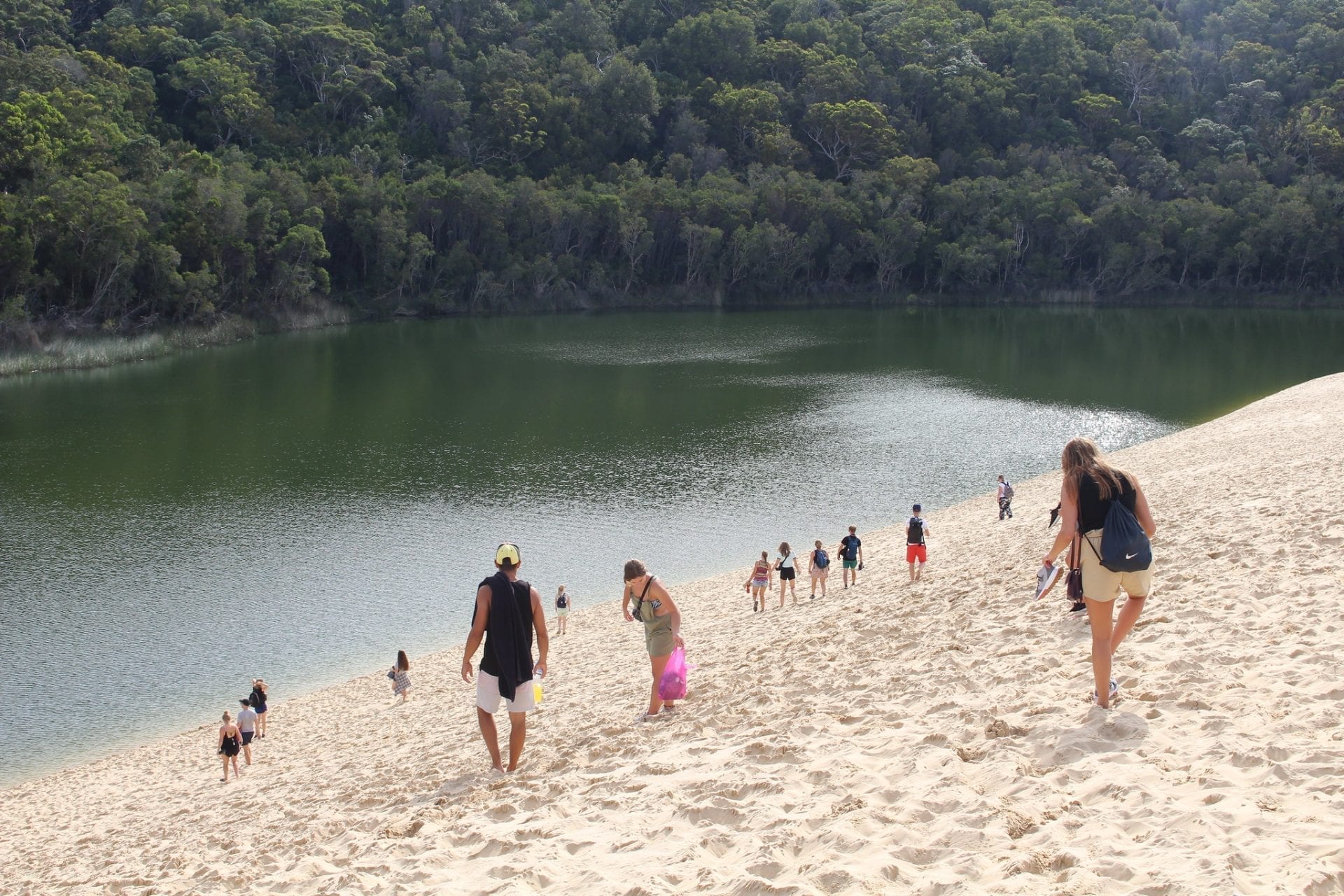 A Fraser Island Snorkelling Guide - Drop Bear Adventures