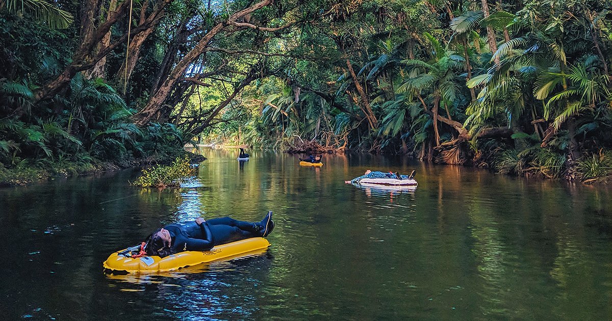 Drifting Under The Canopy